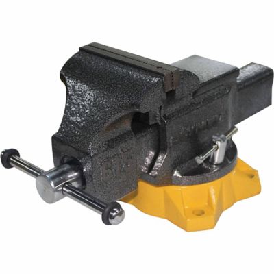 Olympia Tools 5 in. Steel Mechanic's Bench Vise