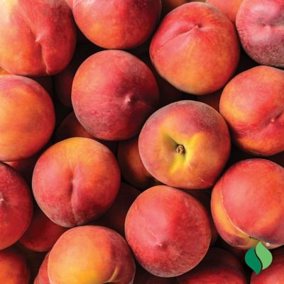 Image showing  Peach Tree Sam Houston