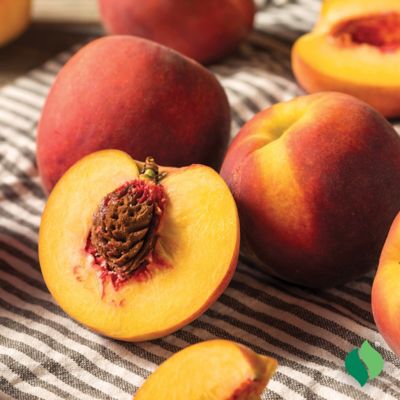 Image showing  Peach Tree Sam Houston