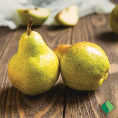 Image showing  Pear Tree Bartlett