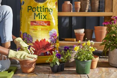 Image showing  2 cu. ft. Potting Mix