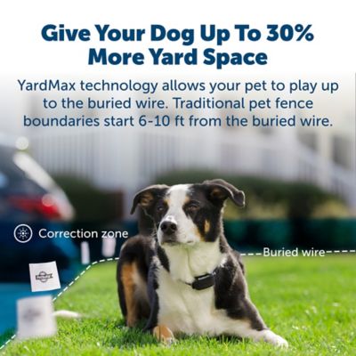 Image showing  500 ft. YardMax Rechargeable In-Ground Pet Fence