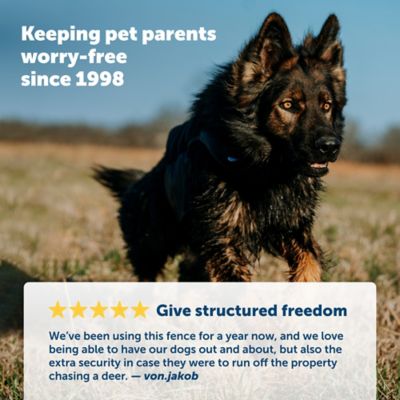 Image showing  500 ft. YardMax Rechargeable In-Ground Pet Fence