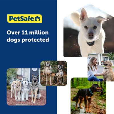 Image showing 7 th PetSafe 500 ft. YardMax Rechargeable In-Ground Pet Fence