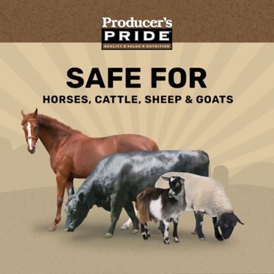 Image showing  12% All-Stock Textured Livestock Feed, 50 lb. Bag