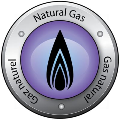 Image showing  250,000 BTU Delux Natural Gas Radiant Heater