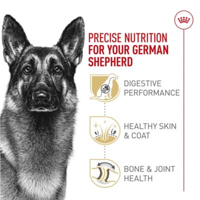 Image showing  Breed Health Nutrition Adult German Shepherd Chicken Recipe Dry Dog Food