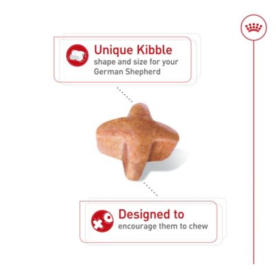 Image showing  Breed Health Nutrition Adult German Shepherd Chicken Recipe Dry Dog Food