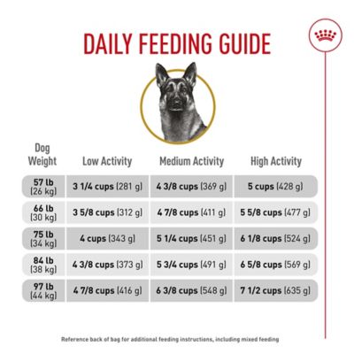 Image showing  Breed Health Nutrition Adult German Shepherd Chicken Recipe Dry Dog Food