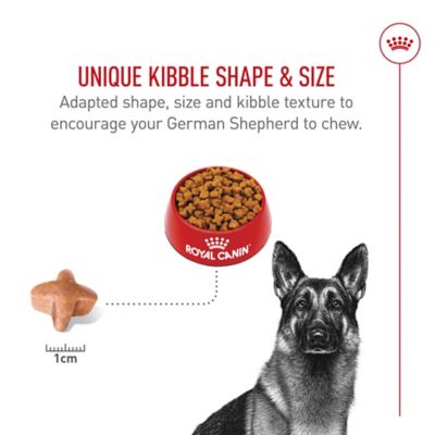 Image showing 5 th Royal Canin Breed Health Nutrition Adult German Shepherd Chicken Recipe Dry Dog Food