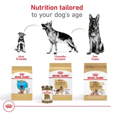 Image showing 6 th Royal Canin Breed Health Nutrition Adult German Shepherd Chicken Recipe Dry Dog Food