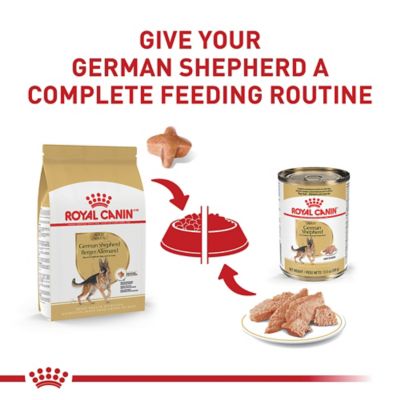 Image showing 7 th Royal Canin Breed Health Nutrition Adult German Shepherd Chicken Recipe Dry Dog Food