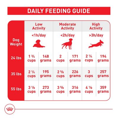 Image showing 5 th Royal Canin Medium Breed Adult Health Nutrition Chicken Recipe Dry Dog Food