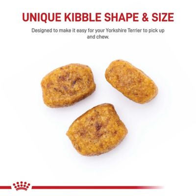 Image showing  Breed Health Nutrition Adult Yorkshire Terrier Chicken Recipe Dry Dog Food