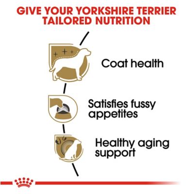 Image showing  Breed Health Nutrition Adult Yorkshire Terrier Chicken Recipe Dry Dog Food