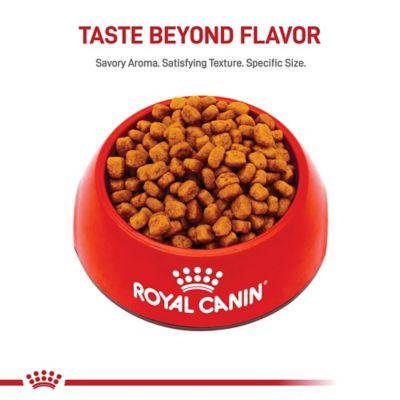 Image showing 5 th Royal Canin Breed Health Nutrition Adult Yorkshire Terrier Chicken Recipe Dry Dog Food