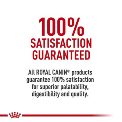 Image showing 9 th Royal Canin Breed Health Nutrition Adult Yorkshire Terrier Chicken Recipe Dry Dog Food