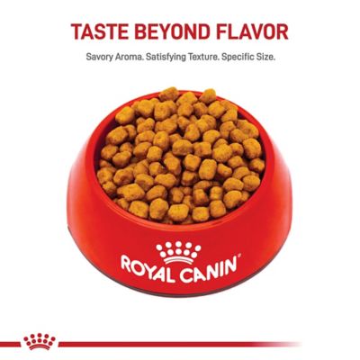 Image showing  Breed Health Nutrition Shih Tzu Adult Chicken Recipe Dry Dog Food