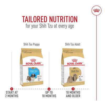 Image showing 7 th Royal Canin Breed Health Nutrition Shih Tzu Adult Chicken Recipe Dry Dog Food