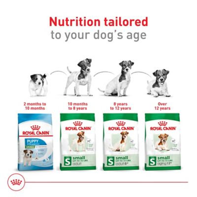 Image showing 5 th Royal Canin Size Health Nutrition Small Adult Dry Dog Food, Bag
