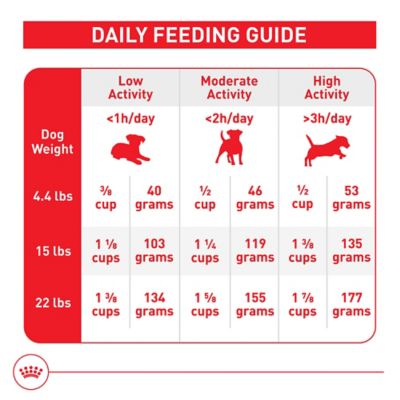 Image showing 7 th Royal Canin Size Health Nutrition Small Adult Dry Dog Food, Bag