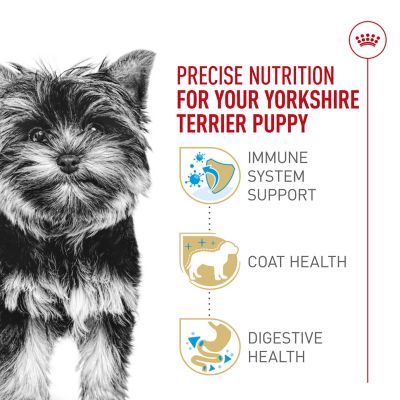 Image showing 1 th Royal Canin Yorkshire Terrier Puppy Dry Dog Food