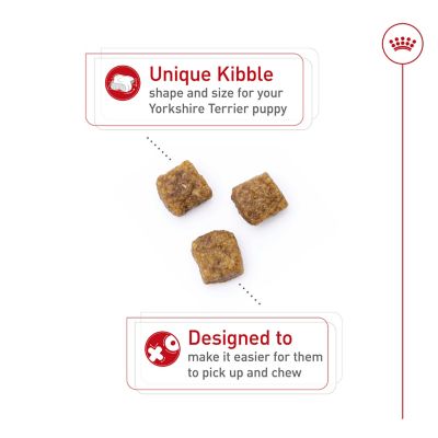 Image showing 2 th Royal Canin Yorkshire Terrier Puppy Dry Dog Food