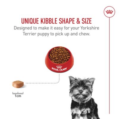 Image showing 4 th Royal Canin Yorkshire Terrier Puppy Dry Dog Food