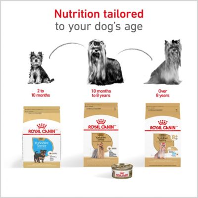 Image showing 6 th Royal Canin Yorkshire Terrier Puppy Dry Dog Food