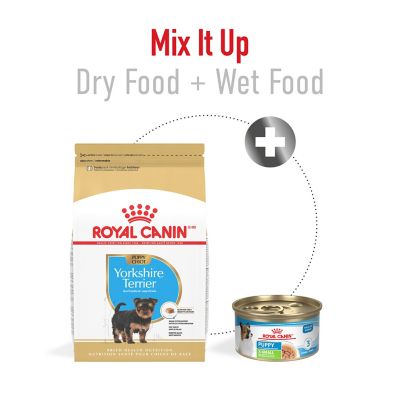 Image showing 7 th Royal Canin Yorkshire Terrier Puppy Dry Dog Food