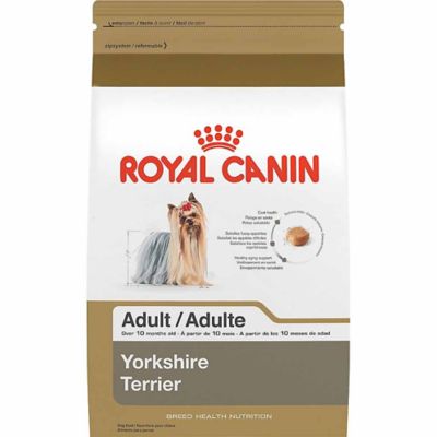 Royal Canin Breed Health Nutrition Yorkshire Terrier Adult Chicken Recipe Dry Dog Food, 10 lb. Bag