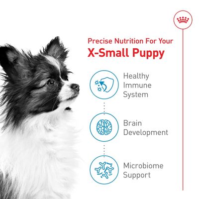 Image showing  X-Small Puppy Dry Dog Food