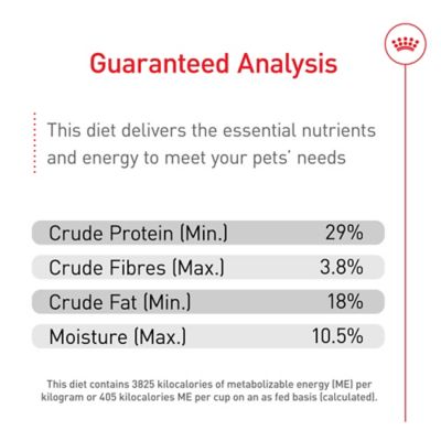 Image showing 5 th Royal Canin X-Small Puppy Dry Dog Food