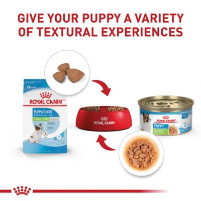 Image showing 6 th Royal Canin X-Small Puppy Dry Dog Food