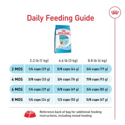 Image showing 7 th Royal Canin X-Small Puppy Dry Dog Food