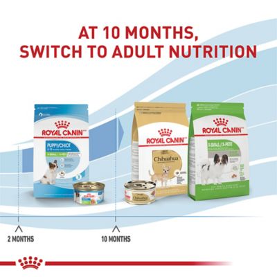 Image showing 8 th Royal Canin X-Small Puppy Dry Dog Food
