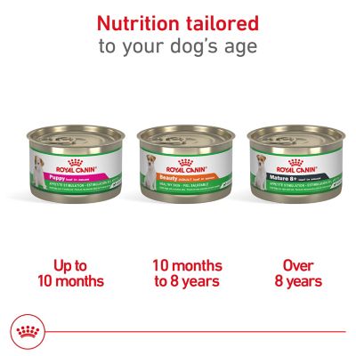 Image showing  Canine Health Nutrition Small Breed Adult Sensitive Skin Chicken Pate in Gel Wet Dog Food, 5 oz. Can