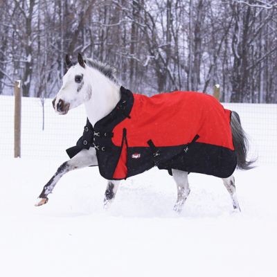 Image showing  300g/1200D Poly Waterproof Horse Turnout Blanket with Adjustable Snuggit Neck