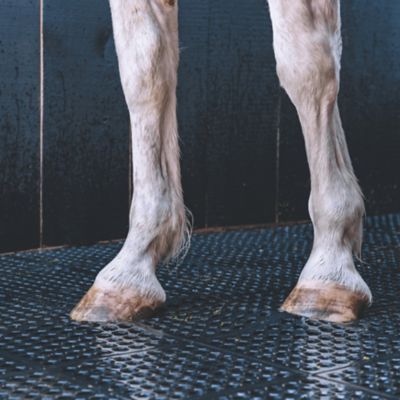 Image showing  Anti-Fatigue Interlocking Stall Mat