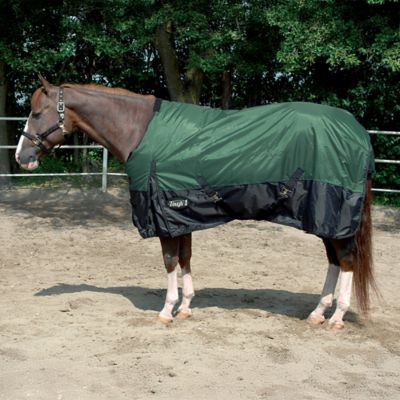 Image showing  600D Waterproof Horse Sheet