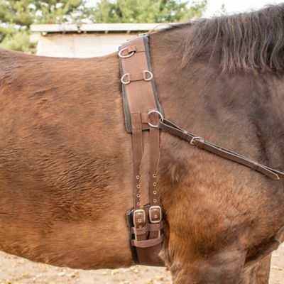 Image showing  PVC Nyloprene Horse Surcingle, PVC Neoprene Lining