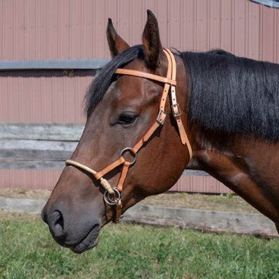 Image showing  Royal King Rawhide Single Side Pull, Light Oil