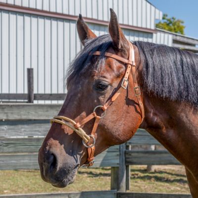 Image showing  Royal King Rawhide Double Side Pull, Light Oil