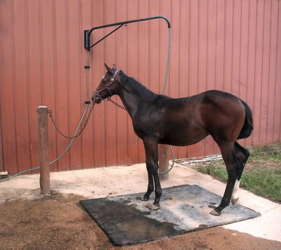 Image showing  Horse Spray Boom