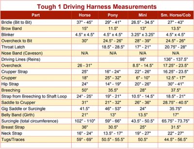 Image showing  Nylon Horse Harness with Blinders and Full Breeching