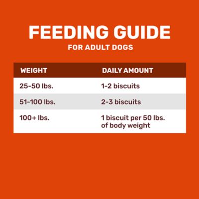 Image showing  Large Plain Dog Biscuit Treats, 15 lb.