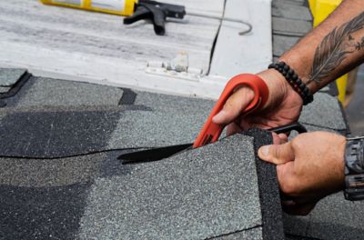 Image showing  10 in. Tl6 Titanium Coated Scissors