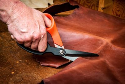 Image showing  10 in. Tl6 Titanium Coated Scissors