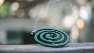 Image showing  Outdoor Mosquito Repellent Coils, 10-Pack