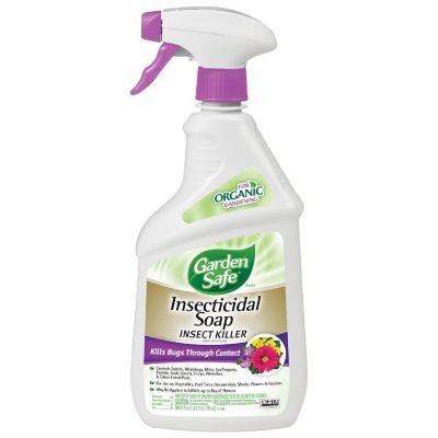 Garden Safe Insecticidal Soap Insect Killer 24 Fl Oz Hg 10424x At
